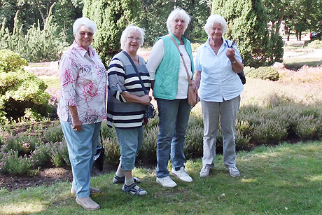 Sonne und Schnee in der L&uuml;neburger Heide