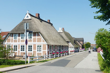 Sommerausflug nach Zollenspieker