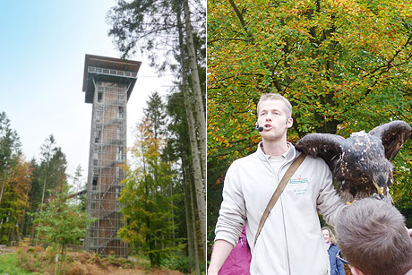 Wildpark L&uuml;neburger Heide und Baumwipfelpfad