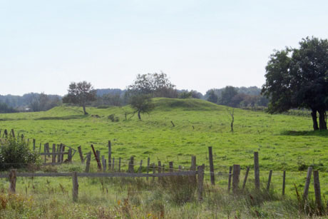 Fischessen und Nordseeluft in Cuxhaven Duhnen