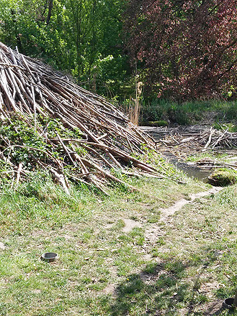 UNESCO-Biosphärenreservat in Bleckede