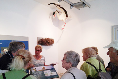 UNESCO-Biosphärenreservat in Bleckede