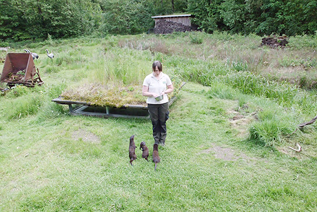 Spargelessen und Otter-Zentrum in Hankelsb&uuml;ttel