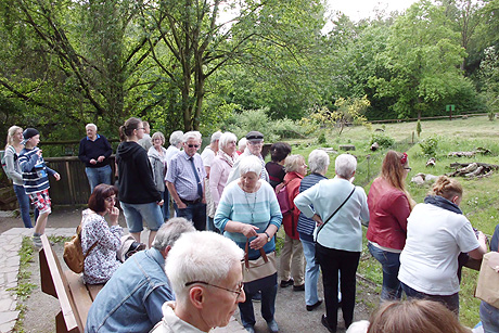 Spargelessen und Otter-Zentrum in Hankelsb&uuml;ttel