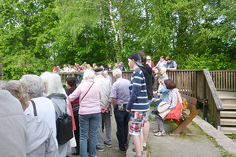 Spargelessen und Otter-Zentrum in Hankelsb&uuml;ttel