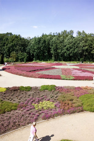 Sonne und Schnee in der L&uuml;neburger Heide