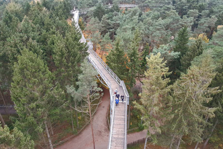 Wildpark Lüneburger Heide und Baumwipfelpfad