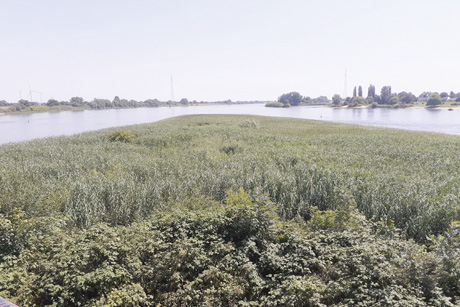 Erlebnisreiche Sommerausfl&uuml;ge