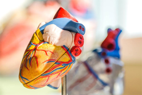 Eine CT bringt Klarheit