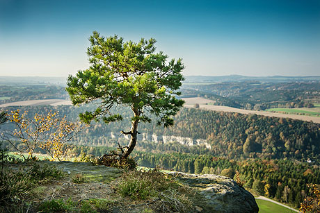 Besondere Bestattungsarten in Hamburg