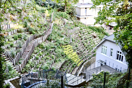 Das Treppenviertel in Blankenese