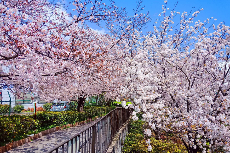 Osaka - Handelszentrum Japans
