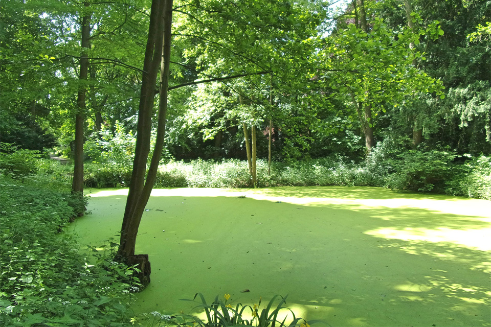 Von Stellingen bis Ohlsdorf