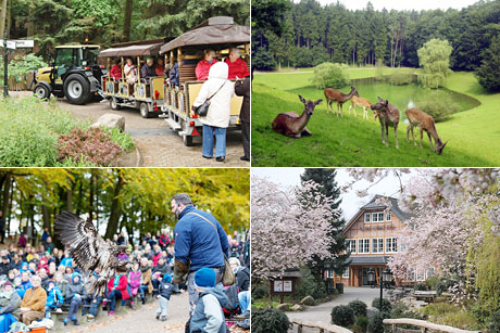 Wildpark Schwarze Berge