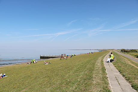 Die Marschinsel Pellworm