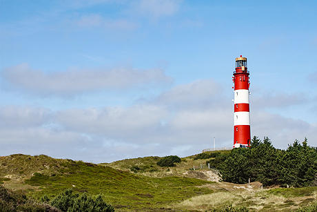 Die Marschinsel Pellworm