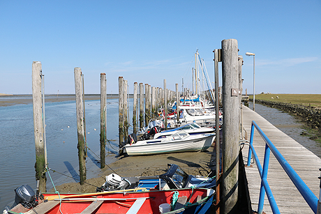 Die Marschinsel Pellworm