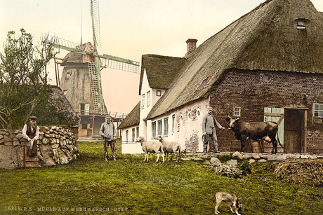 Die Insel Sylt
