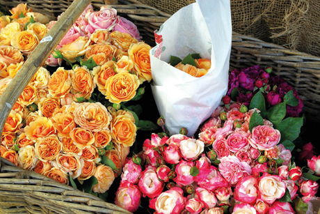 Freilichtmuseum am Kiekeberg