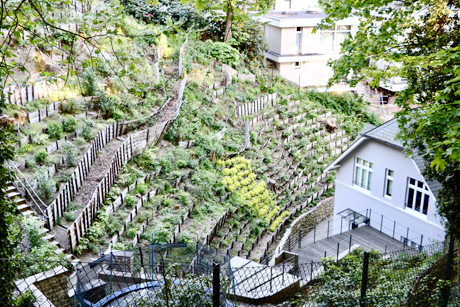 Das Treppenviertel in Blankenese