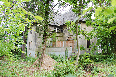 Richard und Ida Dehmel