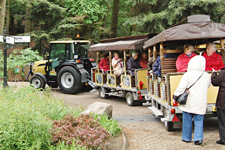 Wildpark Schwarze Berge