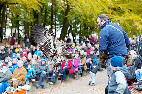 Wildpark Schwarze Berge