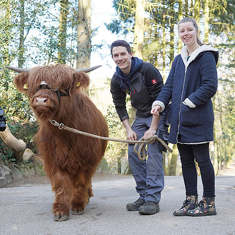Wildpark Schwarze Berge