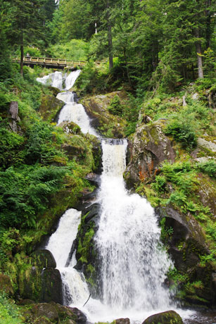 Urlaub in Baden-W&uuml;rttemberg