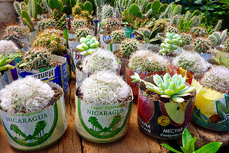 Hamburgs Partnerst&auml;dte: Leon