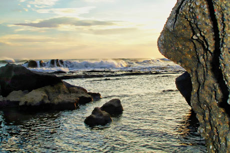 Hamburgs Partnerst&auml;dte: Leon