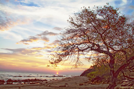Hamburgs Partnerst&auml;dte: Leon
