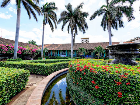 Hamburgs Partnerst&auml;dte: Leon