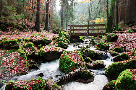 Wattenmeer, Heide und Bergketten