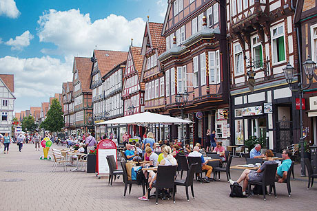 Wattenmeer, Heide und Bergketten