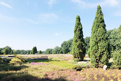 Wattenmeer, Heide und Bergketten