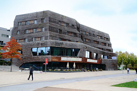 Vielfältiges Wohnviertel auf der Elbinsel