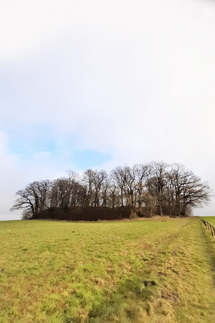 Vom Schicksal der Obodriten