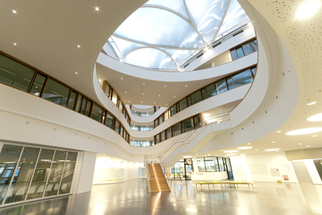 Die Max-Planck-Gesellschaft und ihre Institute