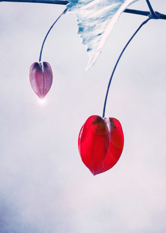 Au&szlig;ergew&ouml;hnliche zeitgen&ouml;ssische K&uuml;nstler