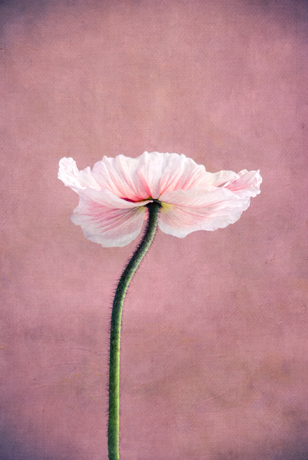 Au&szlig;ergew&ouml;hnliche zeitgen&ouml;ssische K&uuml;nstler