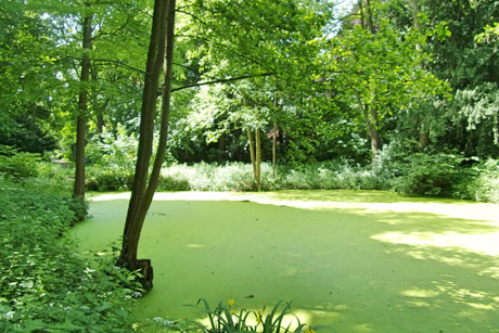 Von Stellingen bis Ohlsdorf