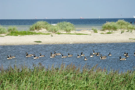 Urlaub im hohen Norden Schleswig-Holstein
