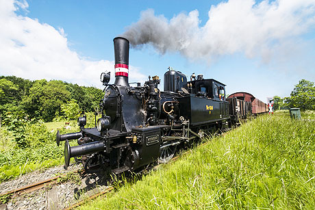 Urlaub im hohen Norden Schleswig-Holstein