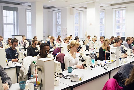 Bernhard-Nocht-Institut