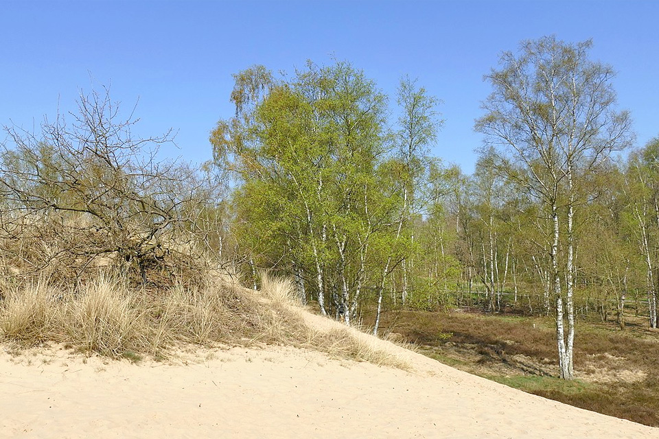 Dioxinfund in Boberg