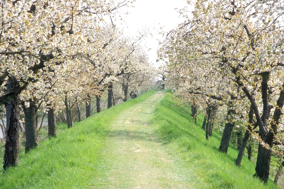 Hamburgs Gr&uuml;n erhalten