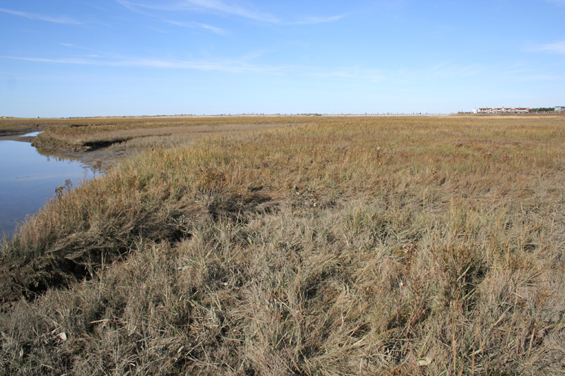 Die VHSt Ferienwohnungen