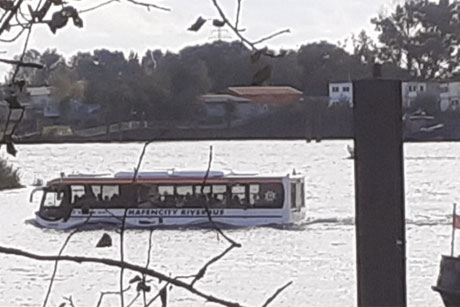 In der Billwerder Bucht, Foto: (c) Bernd Ricanek