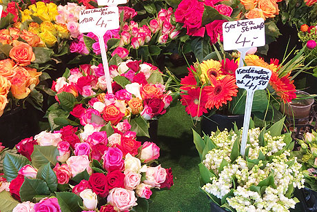 Schnittblumen aus Hamburg gibt es auf fast jedem Wochenmarkt, Foto: Katharina Kernbichler